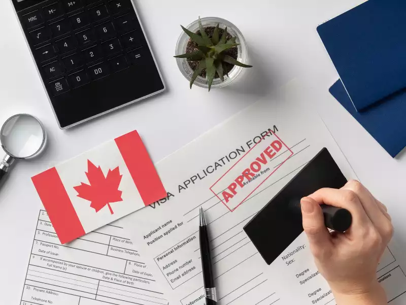 Khám phá con đường du học Canada và cơ hội định cư rộng mở cùng DU HỌC STUDY 1ST