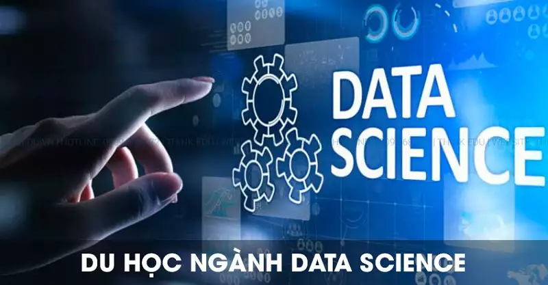 Du học Mỹ ngành Data Science - Cơ hội tăng trưởng 36% đến 2033 & Lộ trình vàng cùng STUDY1ST