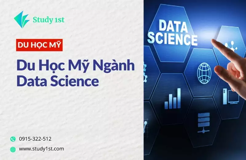 Du học Mỹ ngành Data Science - STUDY1ST giúp bạn săn học bổng, chọn trường top đầu