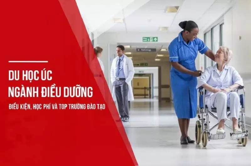 Du học Điều dưỡng tại Úc Tư vấn 1-1 lộ trình cá nhân hóa cùng DU HỌC STUDY1ST