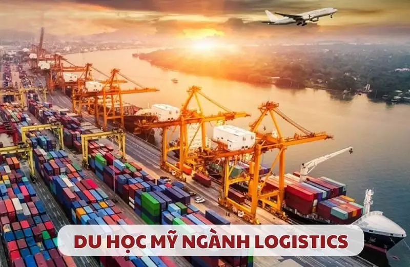 Du học ngành Logistics tại Mỹ Cùng STUDY1ST kiến tạo tương lai vững chắc