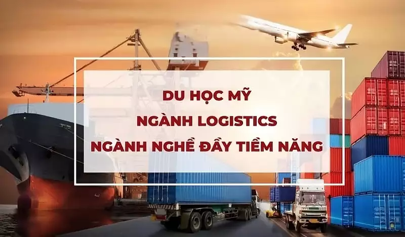 Du học ngành Logistics tại Mỹ Tăng trưởng 18% & Mức lương $80,880 mở rộng cơ hội làm việc toàn cầu
