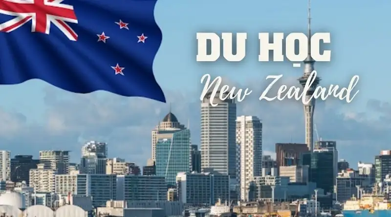 Du học New Zealand - Điều kiện Đầu vào, Chi phí & Lộ trình Tư vấn Chi Tiết từ STUDY1ST Du học New Zealand - Điều kiện Đầu vào, Chi phí & Lộ trình Tư vấn Chi Tiết từ STUDY1ST