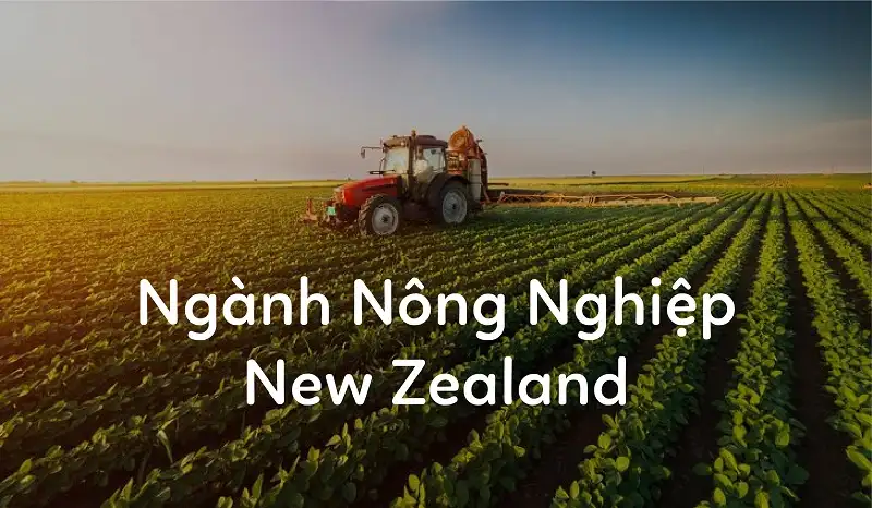Du Học Ngành Nông nghiệp Công nghệ cao tại New Zealand - DU HỌC STUDY1ST